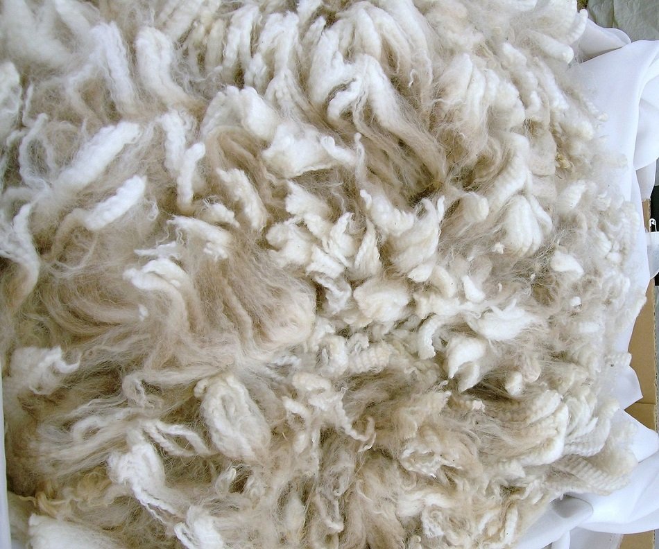 fibra de lana